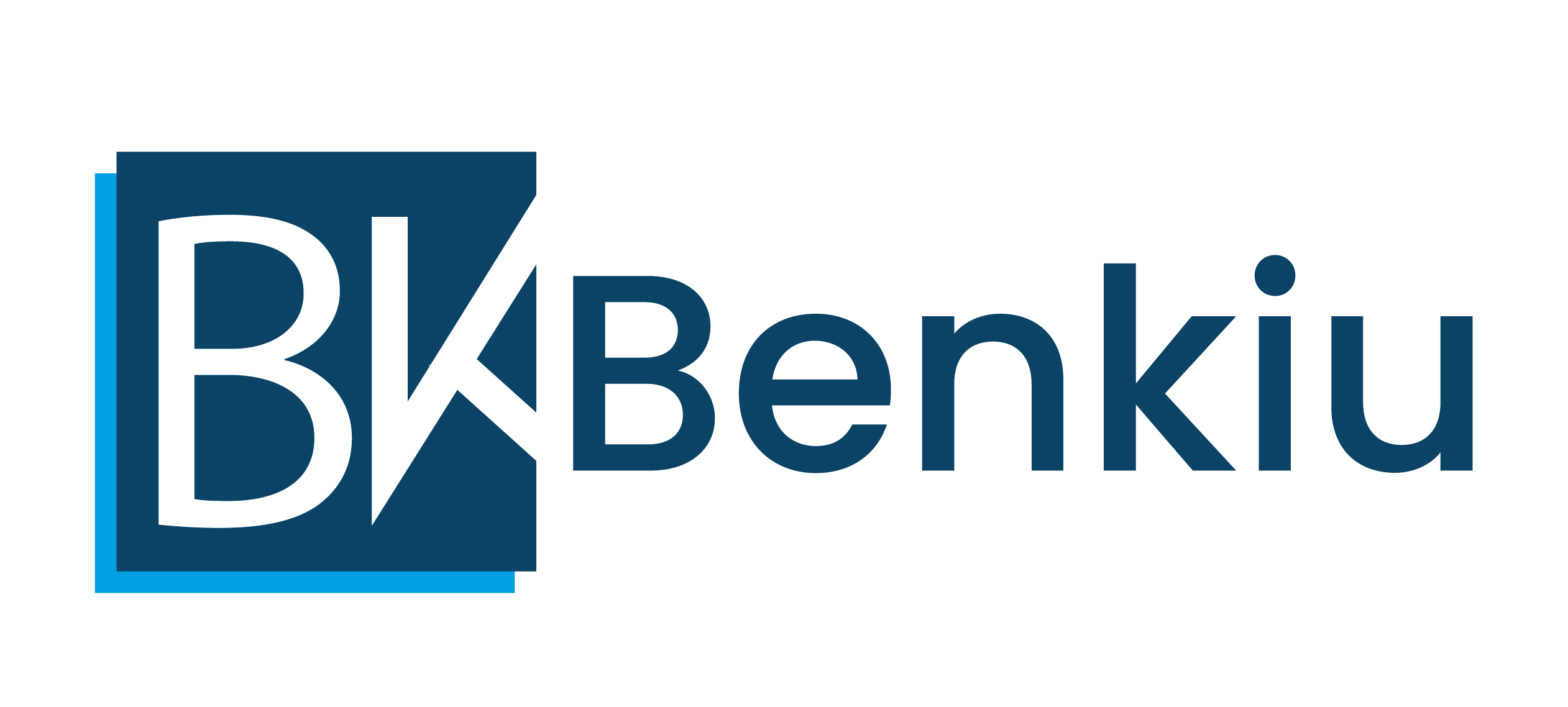 BK Benkiu LOGO1